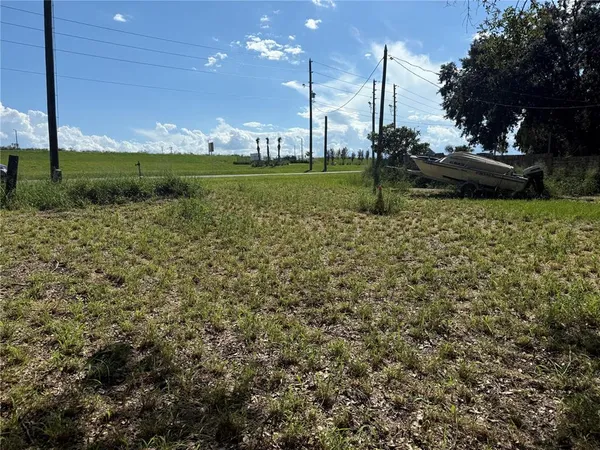 a view of a garden with a tree