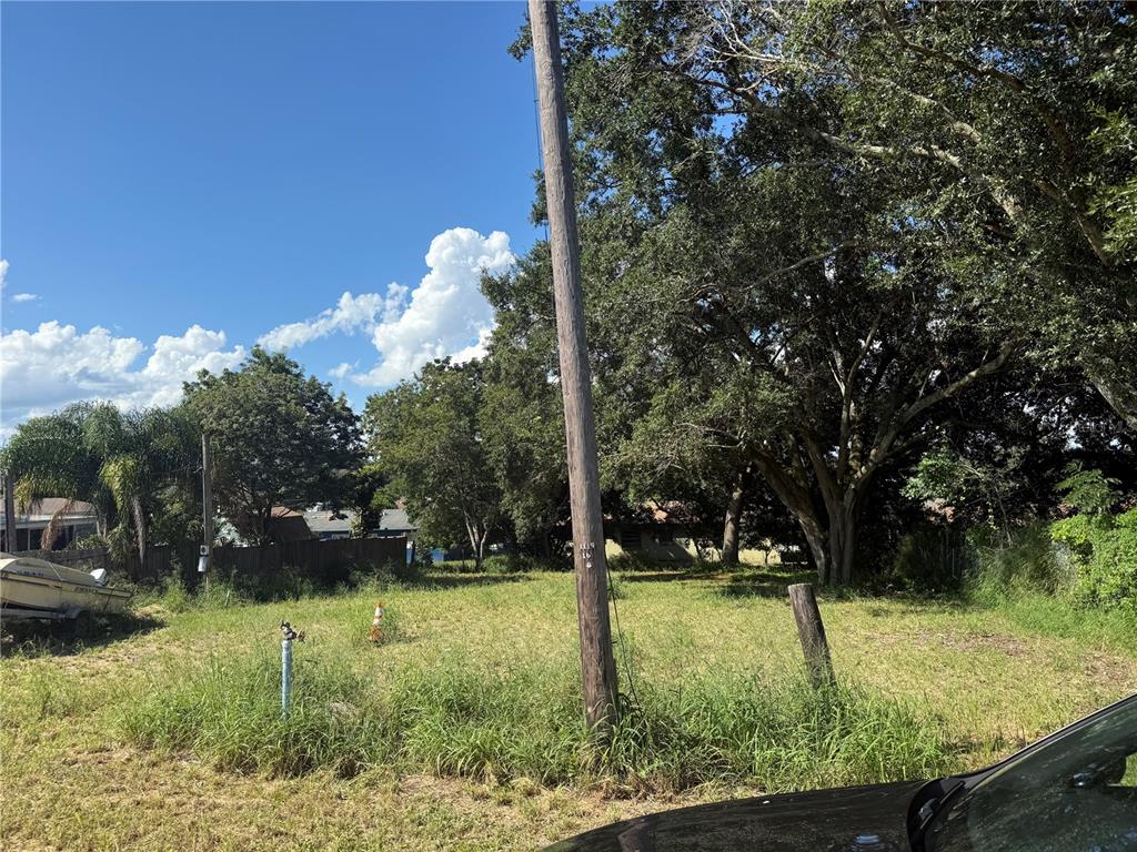 630 Kokomo Road Haines City, FL 33844 - Photo 3 of 6 a backyard of a house with lots of green space