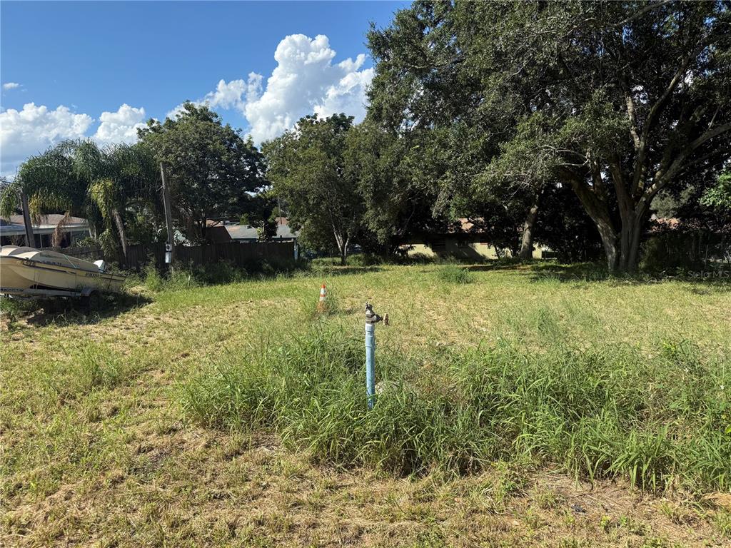 630 Kokomo Road Haines City, FL 33844 - Photo 4 of 6 a backyard of a house with lots of green space