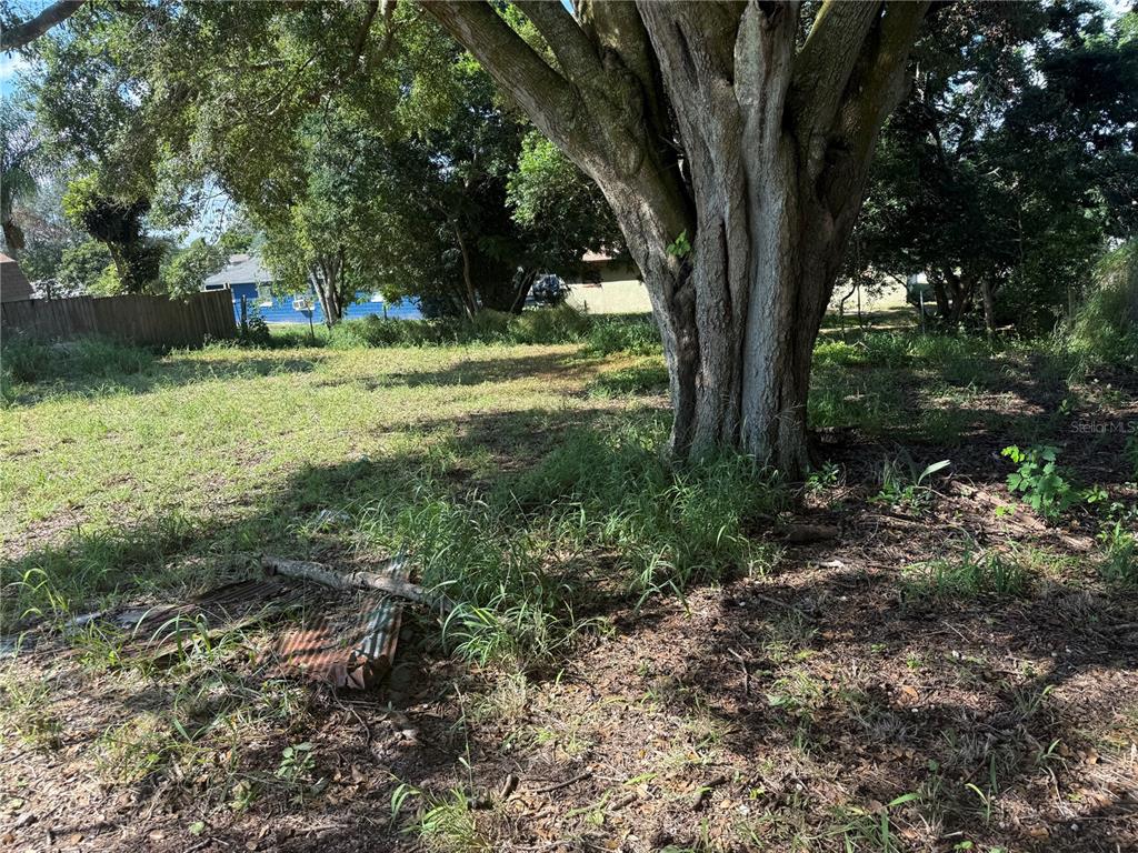 630 Kokomo Road Haines City, FL 33844 - Photo 6 of 6 a view of a trees with a yard