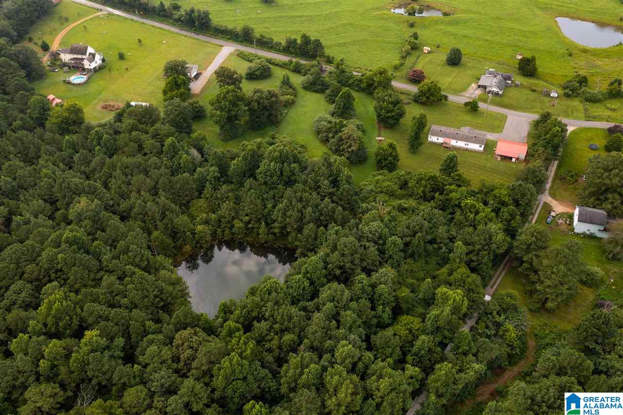 373 County Road 24 Springville, AL 35146 - Photo 39 of 43