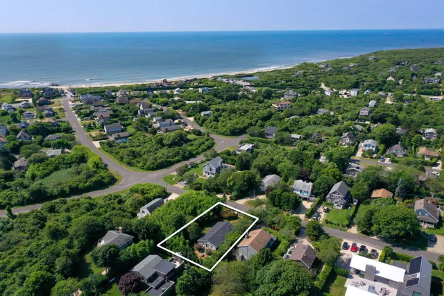 an aerial view of residential houses with outdoor space and trees