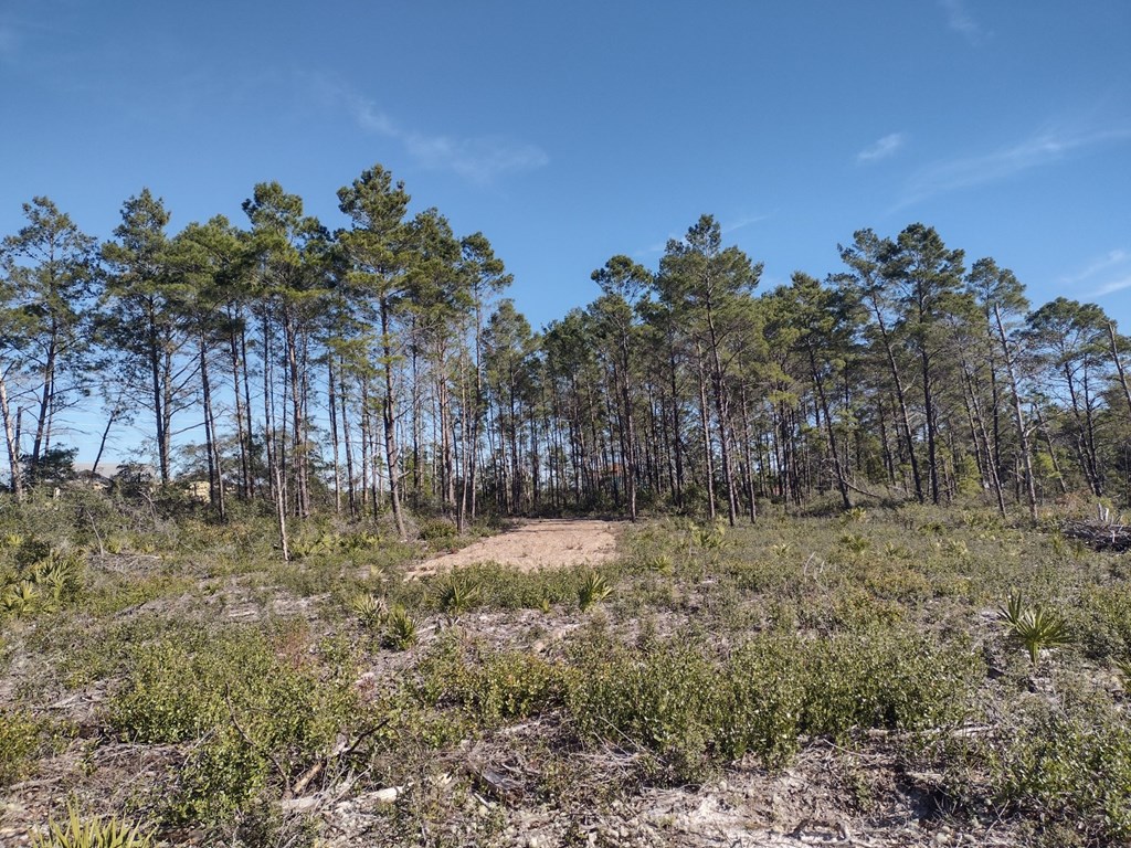 266 River Road Carrabelle, FL 32322 - Photo 6 of 9 Gallery Image 6