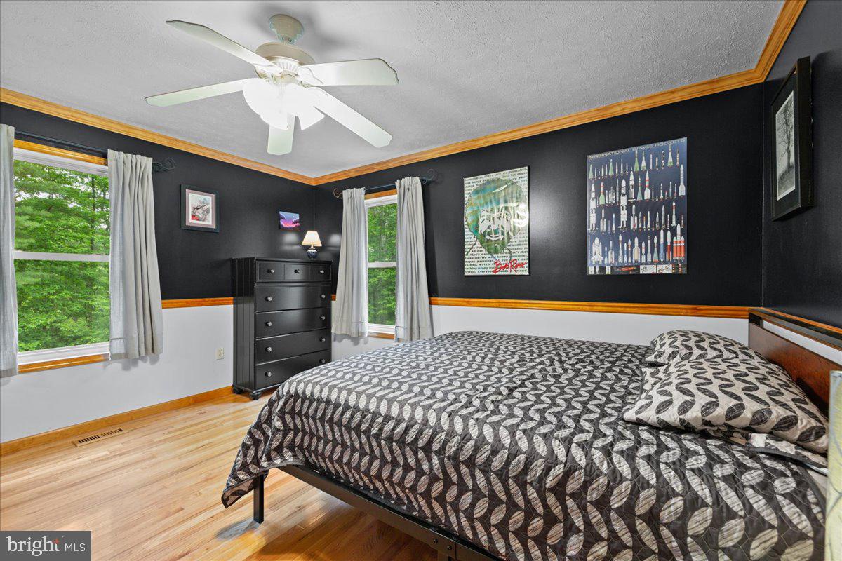 906 Cauthorn Mill Road Middletown, VA 22645 - Photo 29 of 47
