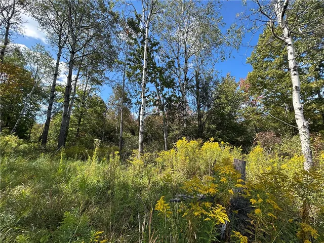 $26,700 | 0 Pre-emption Road, Dundee, NY 14837