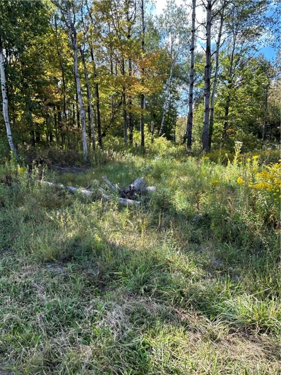 0 Pre-emption Road Dundee, NY 14837 - Photo 2 of 9 View 2