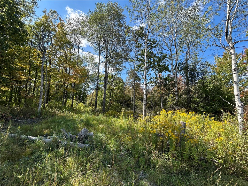 0 Pre-emption Road Dundee, NY 14837 - Photo 3 of 9 View 3