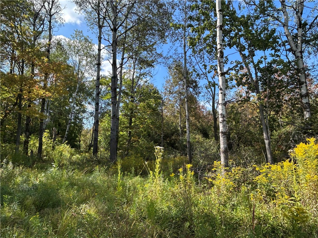 0 Pre-emption Road Dundee, NY 14837 - Photo 4 of 9 View 4