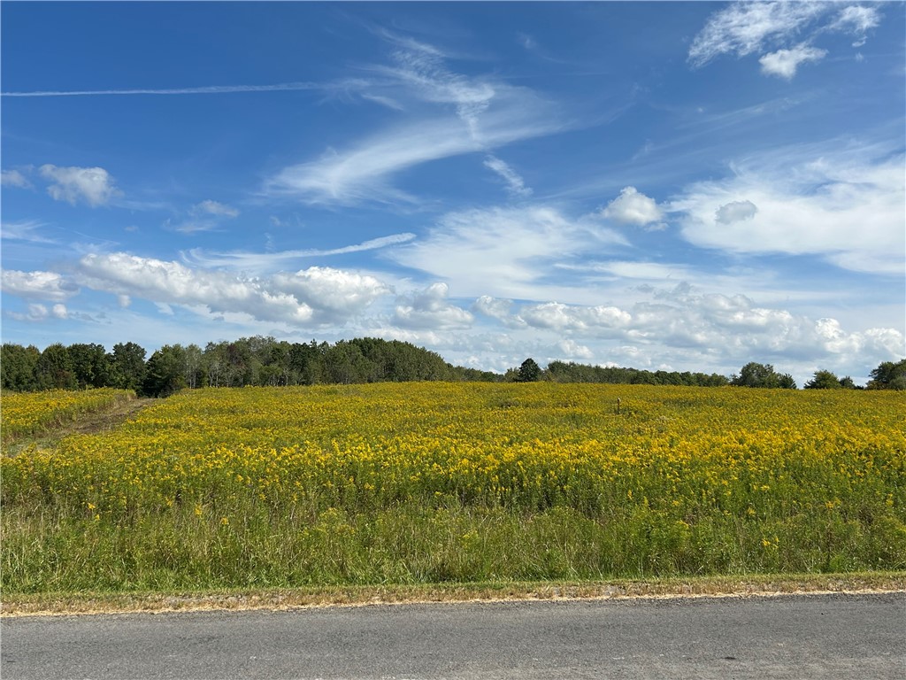 0 Pre-emption Road Dundee, NY 14837 - Photo 5 of 9 View Across Road