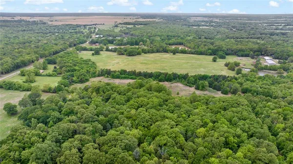a view of a lush green forest with lots of trees