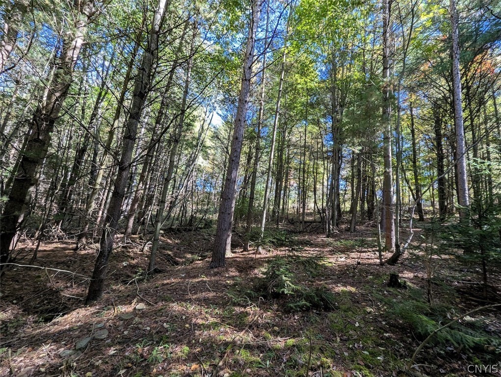 70 A County Road Hornell, NY 14843 - Photo 31 of 37 Gallery Image 31