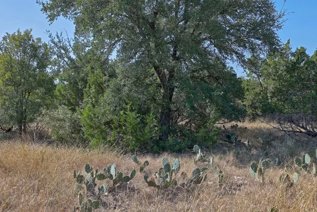 a view of a lake with lots of trees