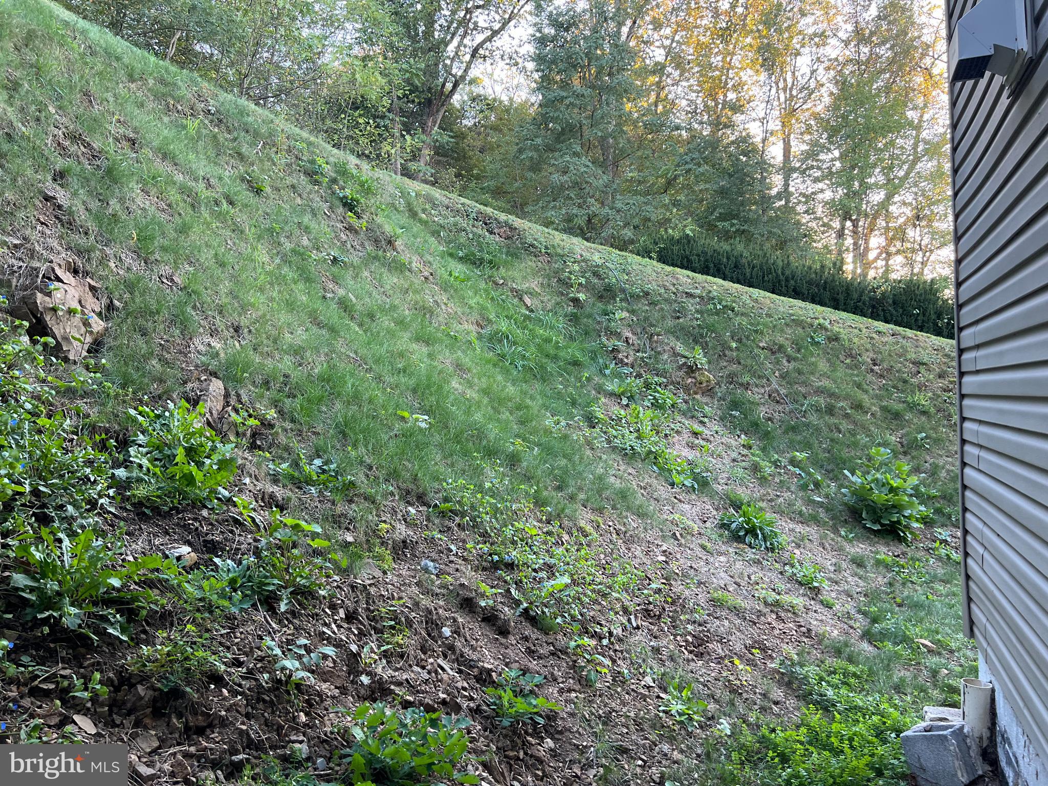 2255 Quarry Road Lebanon, PA 17046 - Photo 50 of 57 Lush hillside with vibrant greenery.