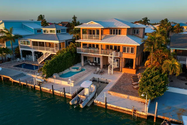 a aerial view of a house with a yard and potted plants