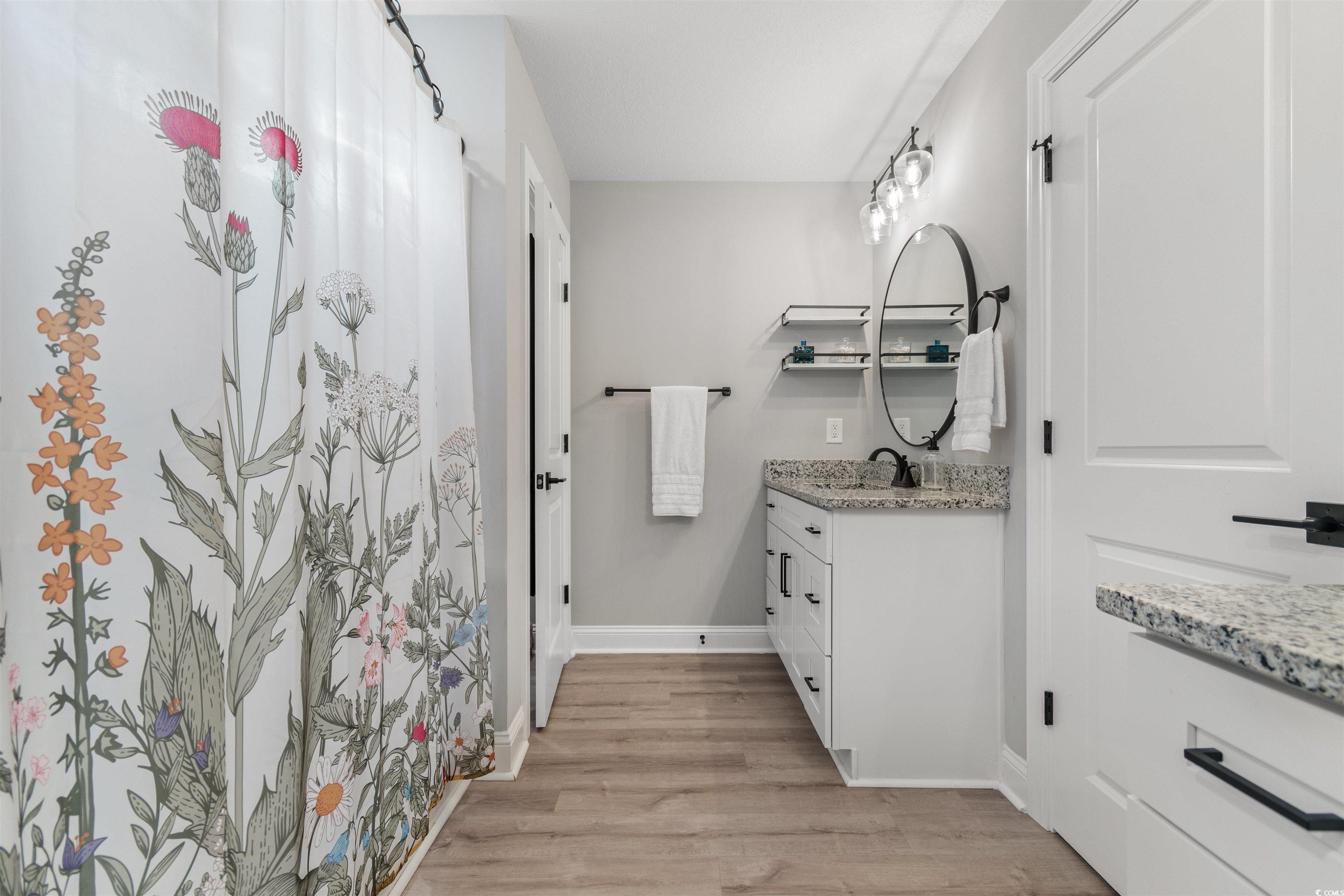 2279 Vaught Road Galivants Ferry, SC 29544 - Photo 20 of 40 Bathroom with vanity and hardwood / wood-style flo