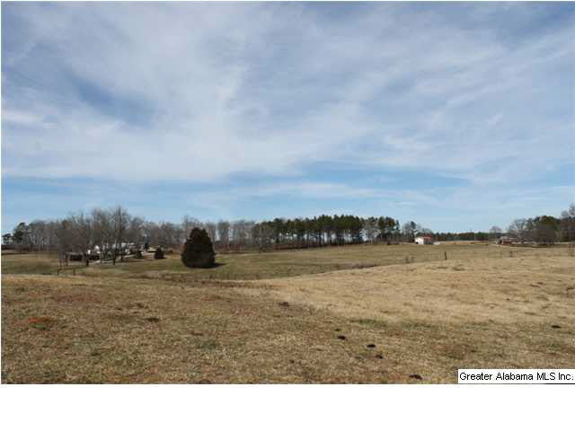 9 Highway 9, Unit 84 Lineville, AL 36266 - Photo 14 of 16