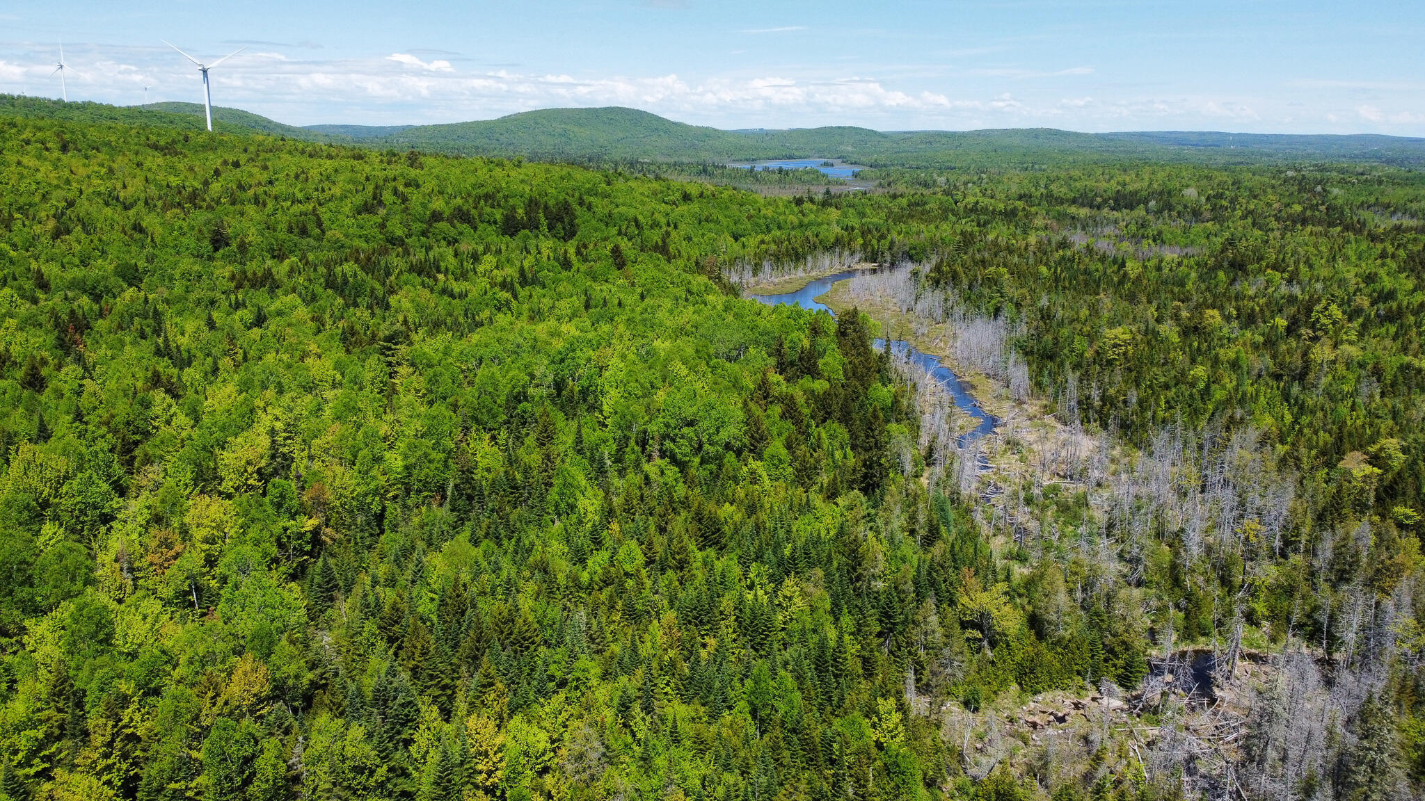 Lot 10 Morrison Brook, Unit ACRES Oakfield, ME 04763 - Photo 3 of 11