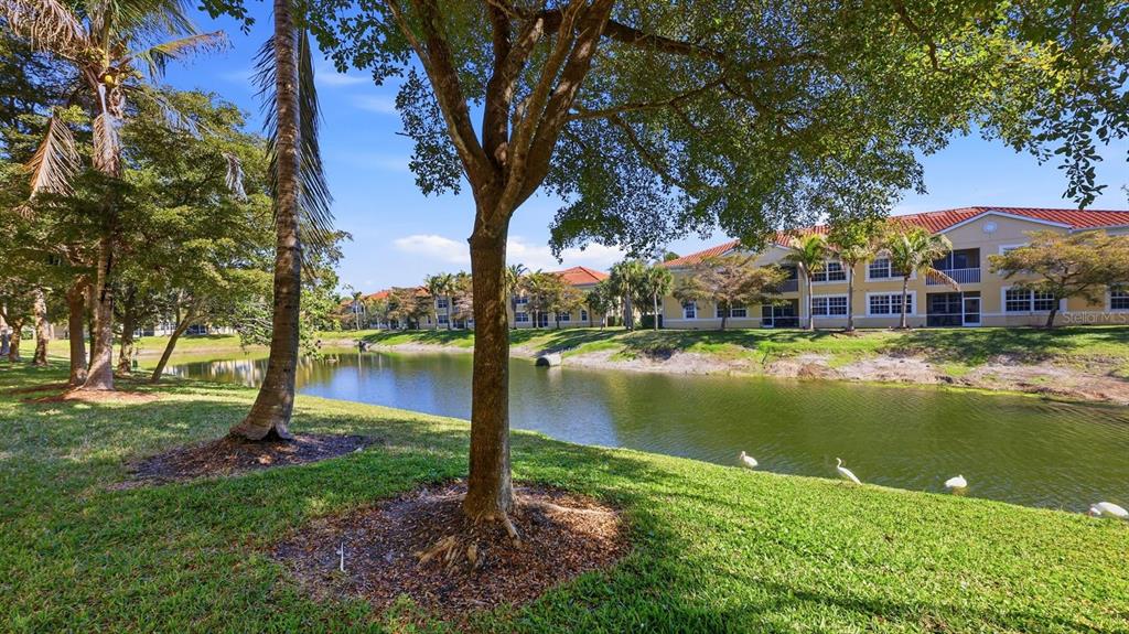 177 Navigation Circle Osprey, FL 34229 - Photo 29 of 43 a lake with lots of palm trees