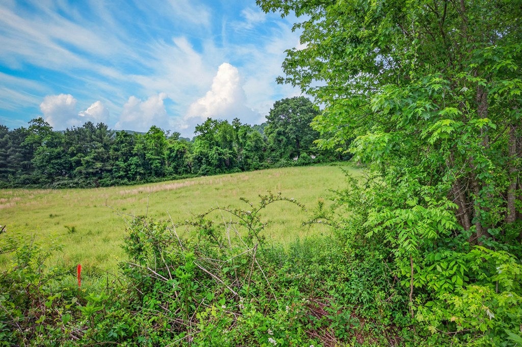 Lot 126 Rakestown Road, Unit 126 Ivanhoe, VA 24350 - Photo 8 of 12 Gallery Image 8