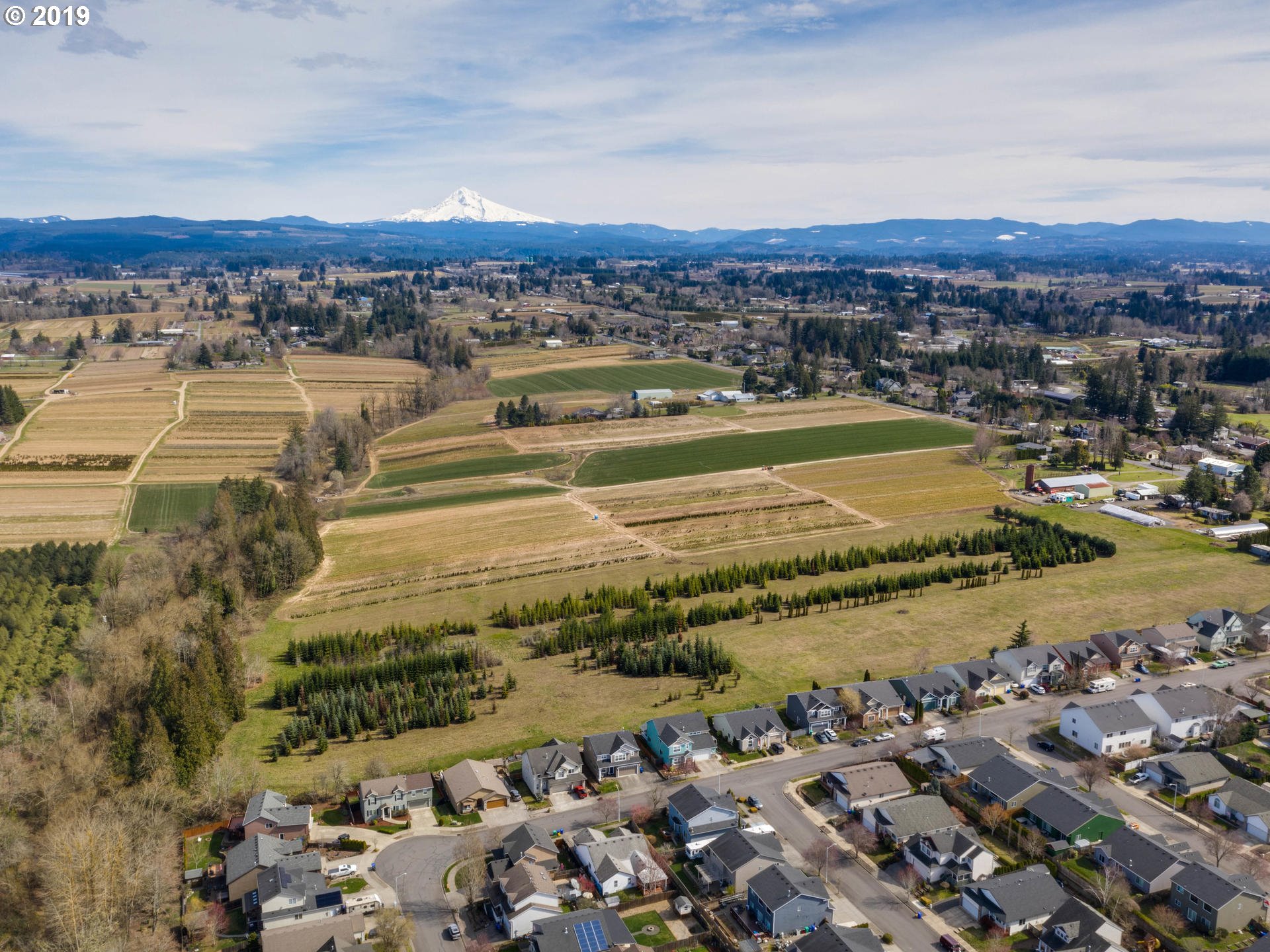 28821 Southeast Powell Valley Road Gresham, OR 97080 - Photo 4 of 32