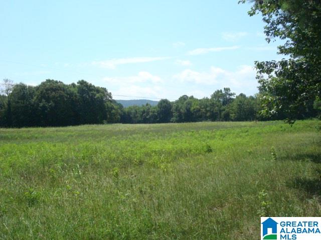 0 Dabbs Road, Unit 19 & 20 Oxford, AL 36203 - Photo 8 of 33