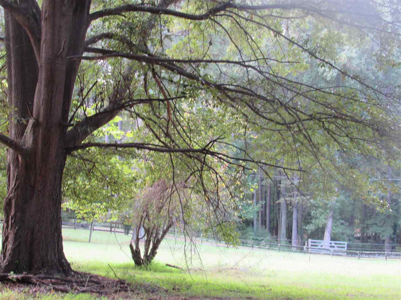 13624 New Light Road Raleigh, NC 27614 - Photo 7 of 12 Photo 7
