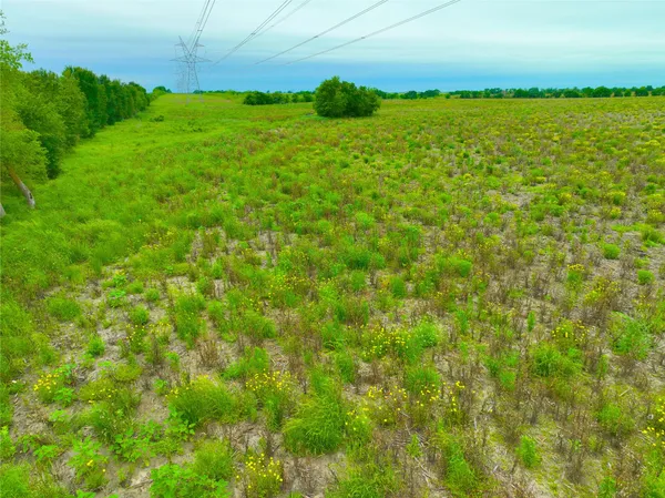 a view of a field with an ocean