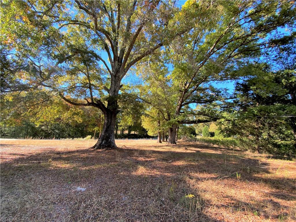 151 Cardinal Road Madison, NC 27025 - Photo 3 of 33