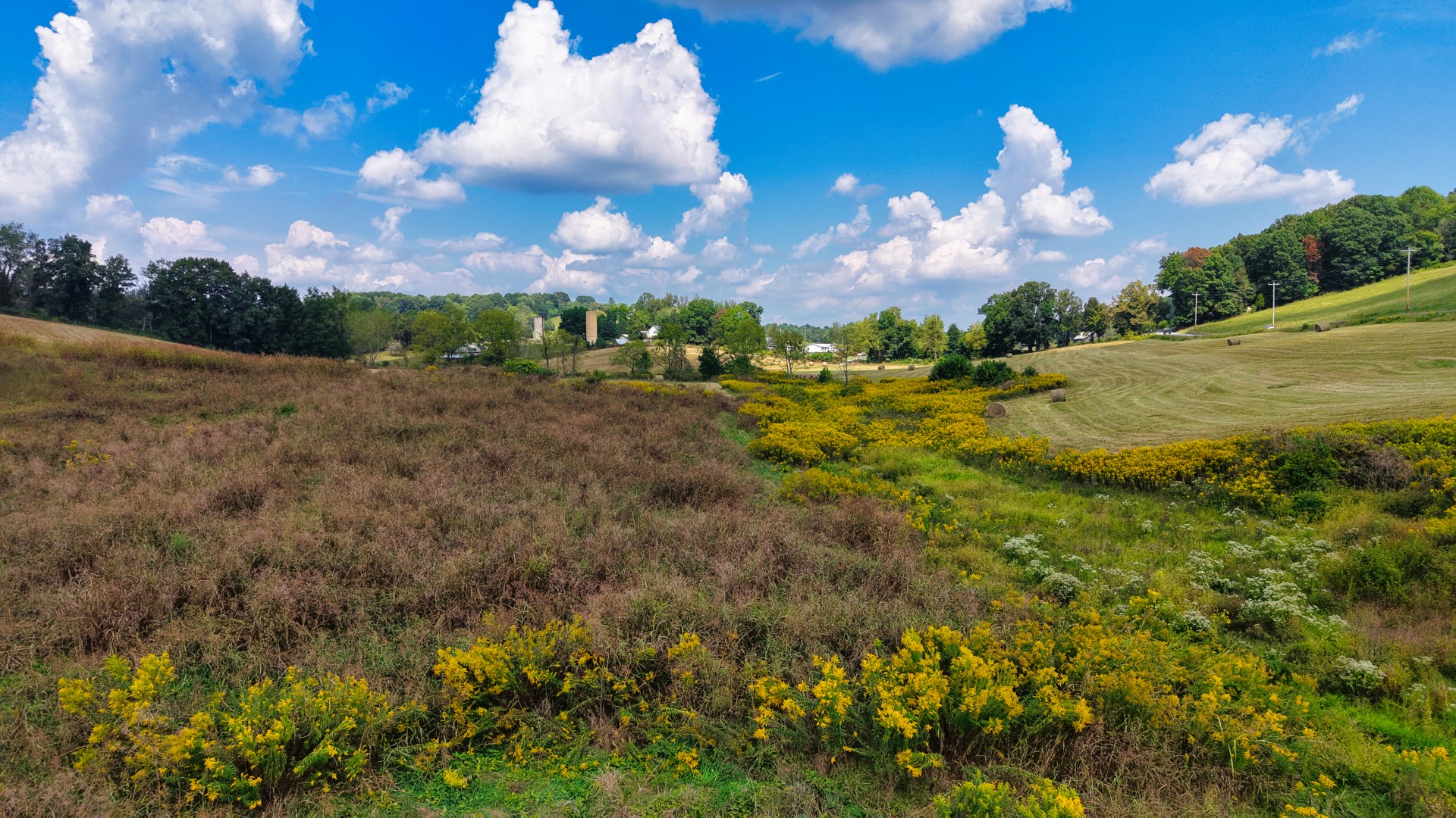 0 Mitchell Ridge Road Jonesborough, TN 37659 - Photo 27 of 82 Gallery Image 27