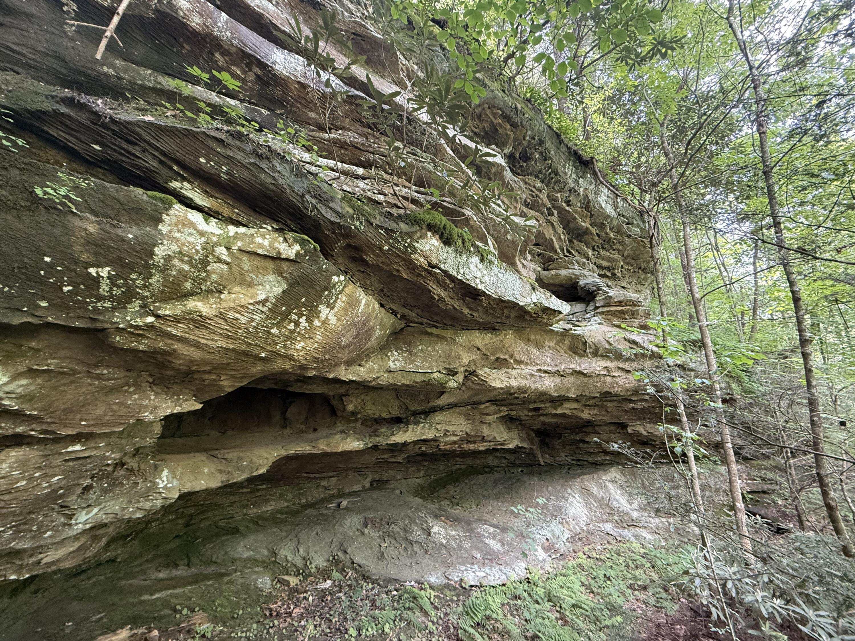 342 Dewey Banks Road Campton, KY 41301 - Photo 4 of 64 004 no shortage of beautiful rock featur