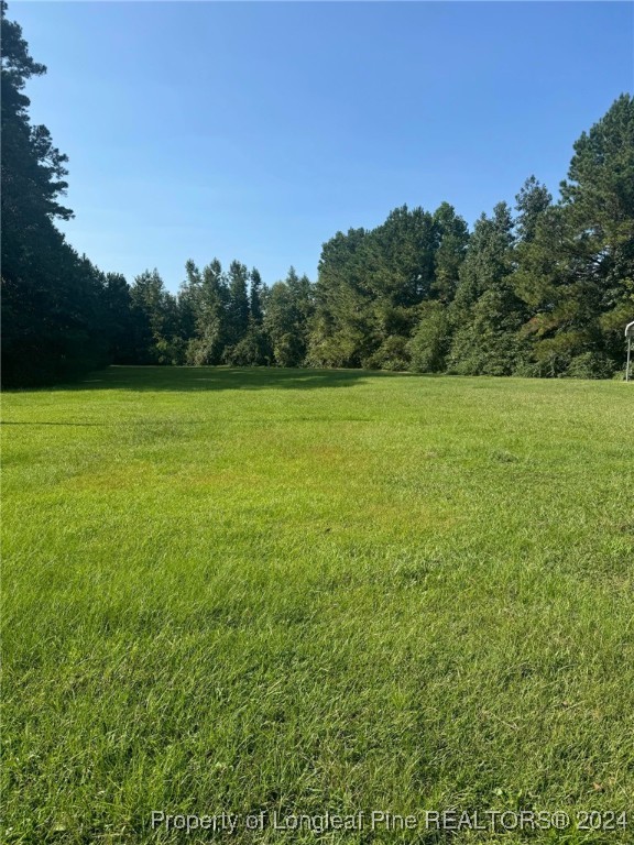 394 Wrench Road Godwin, NC 28344 - Photo 19 of 20 a view of an ocean from a yard
