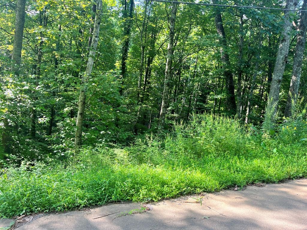 15 Raintree Road Gatlinburg, TN 37738 - Photo 1 of 9