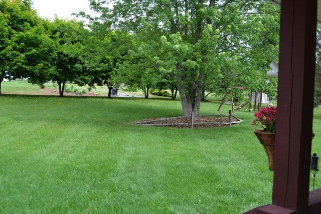 235 Gardner Road Frankford, WV 24938 - Photo 3 of 18 View from Front Porch