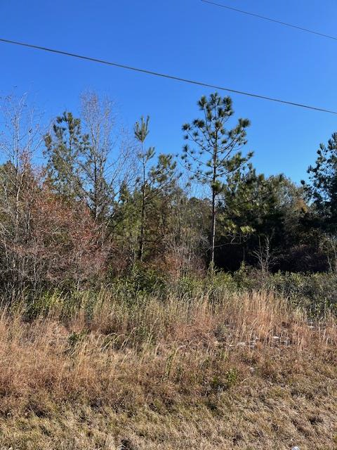 0 Locklier Road Homerville, GA 31634 - Photo 1 of 1 Gallery Image 1