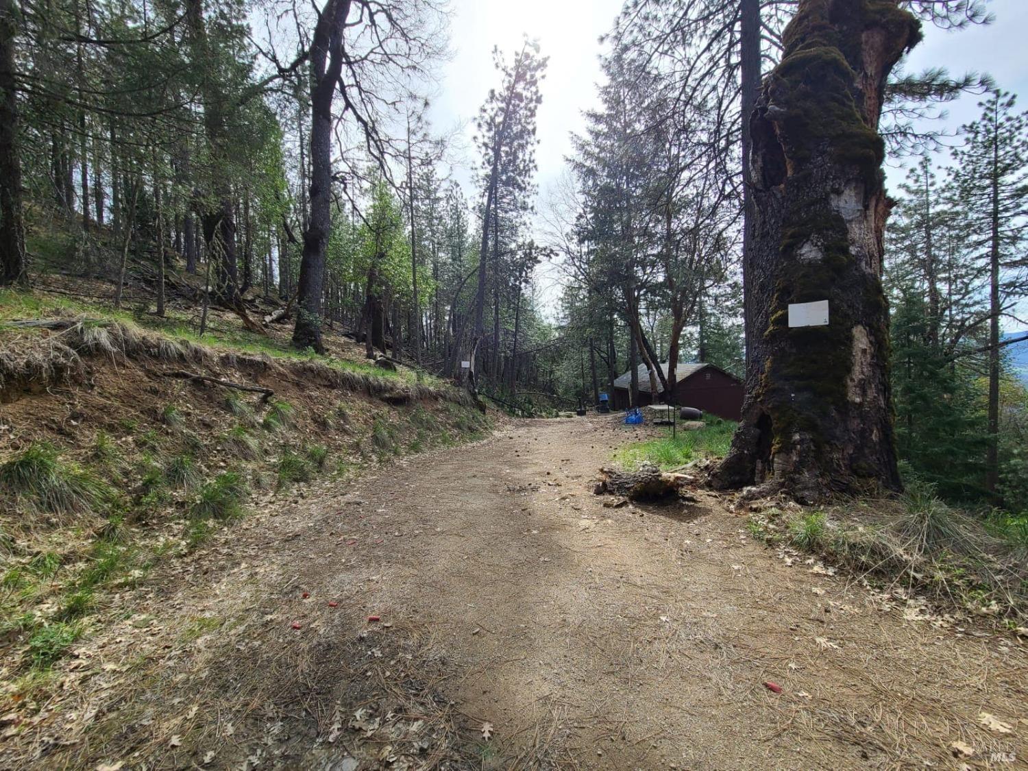 47700 Bentley Ridge Road Covelo, CA 95428 - Photo 37 of 74