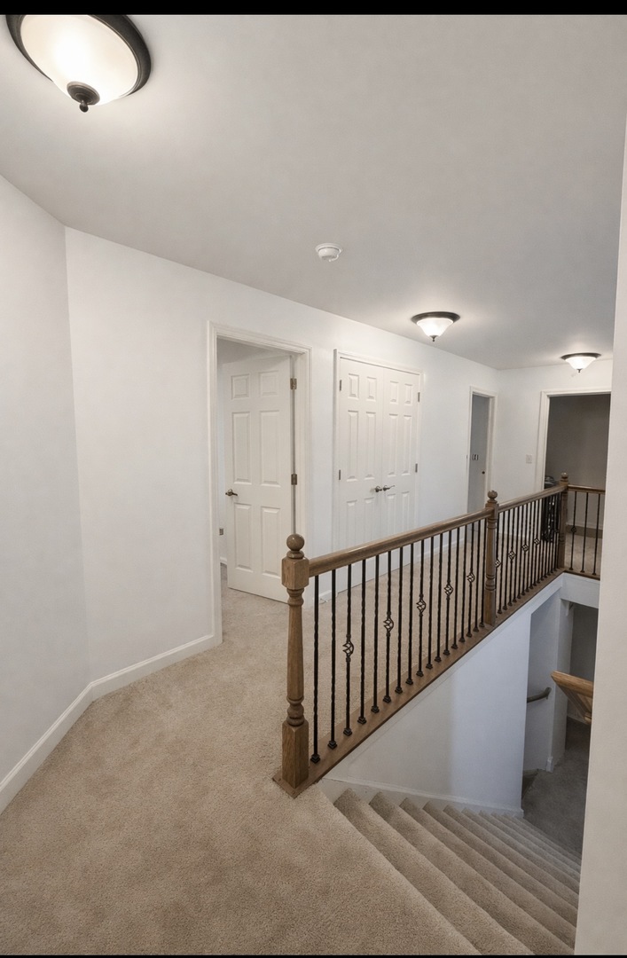 78 Kenneth Street Matteson, IL 60443 - Photo 7 of 12