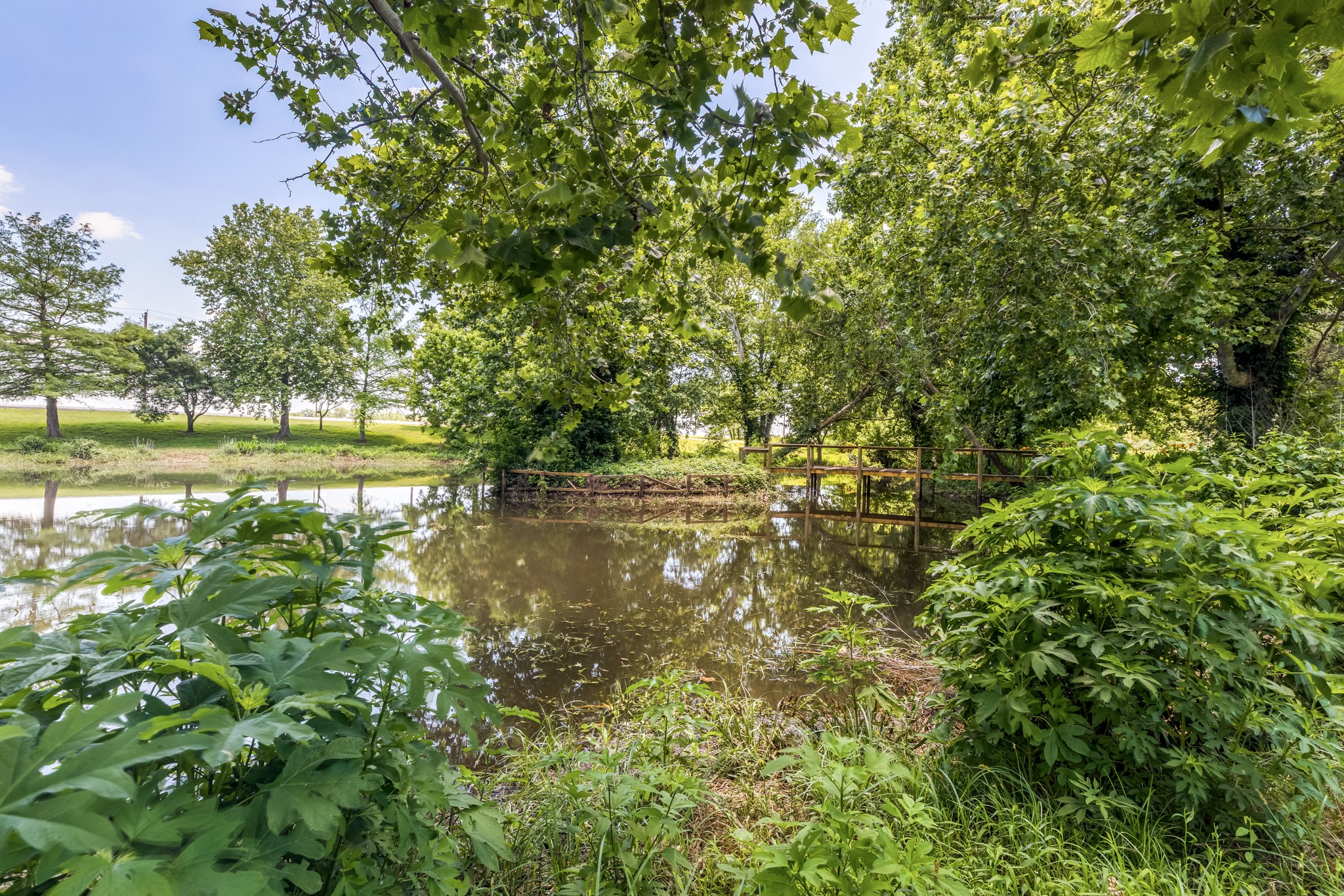2009 FM 950 Road Eagle Lake, TX 77434 - Photo 26 of 27 a view of yard with green space and trees around