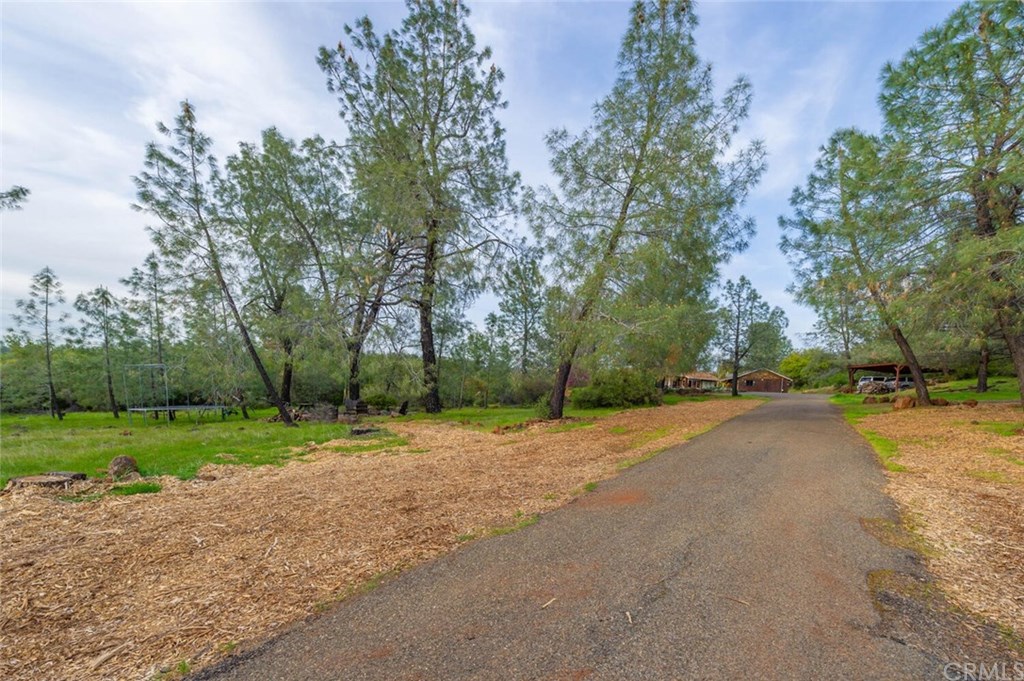 123 Jack Rabbit Flat Chico, CA 95973 - Photo 72 of 75
