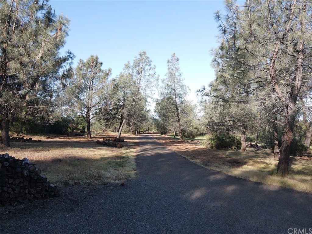123 Jack Rabbit Flat Chico, CA 95973 - Photo 75 of 75