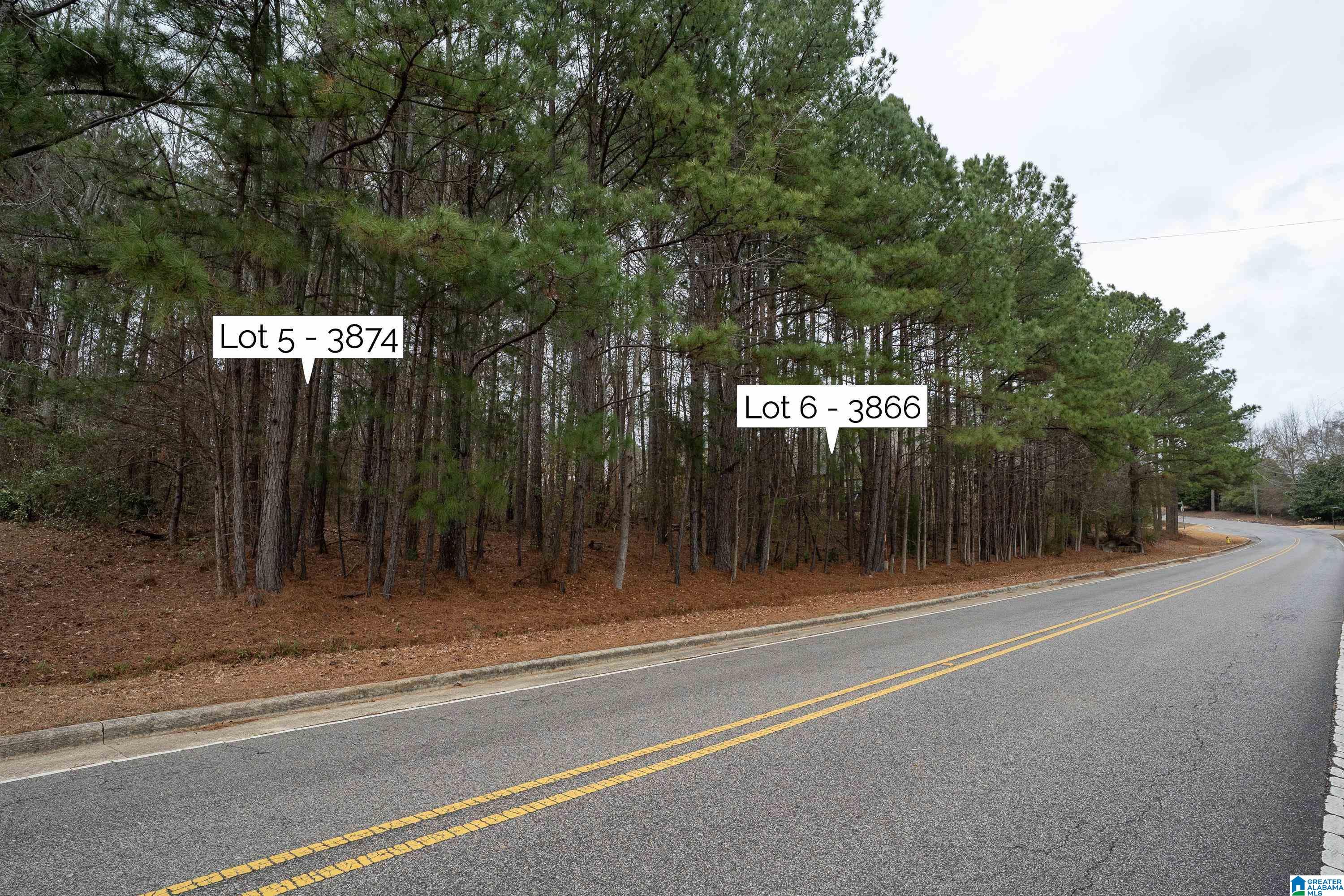 3874 Belmont Road, Unit 5 & 6 Birmingham, AL 35210 - Photo 1 of 15
