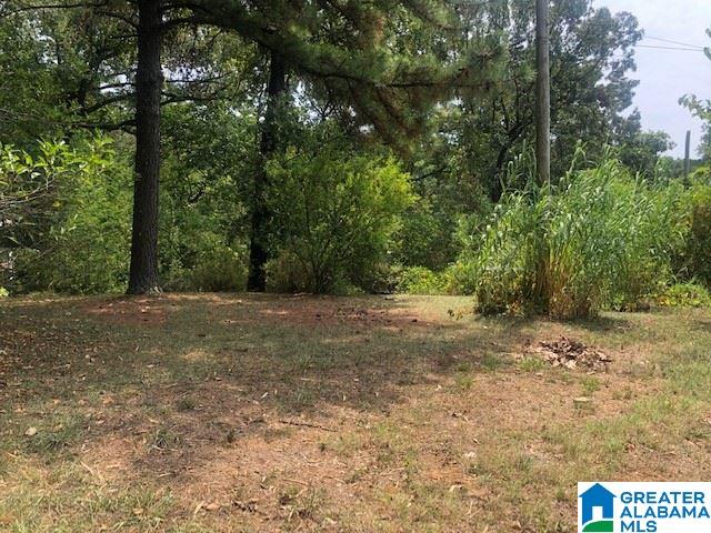 1817 Mountain Circle Birmingham, AL 35217 - Photo 36 of 41