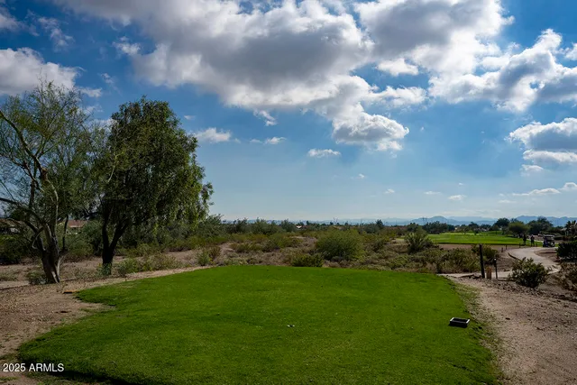a view of a house with a yard and potted plants
