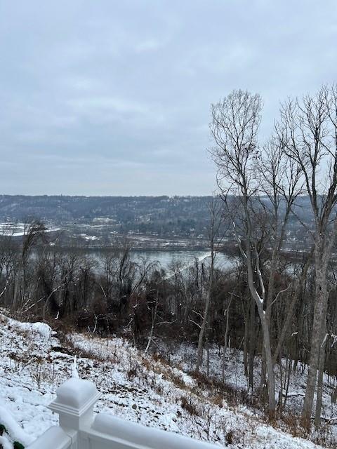 126 River Ridge Drive Coraopolis, PA 15108 - Photo 7 of 29 a view of a forest filled with trees
