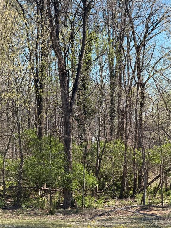 0 Pine Woods Church Road Thomasville, NC 27360 - Photo 1 of 5