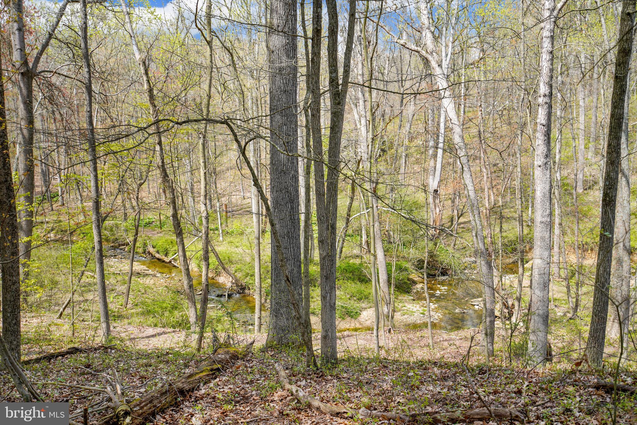 2150 Brown Road Finksburg, MD 21048 - Photo 20 of 81 Creek for all kinds of Fun