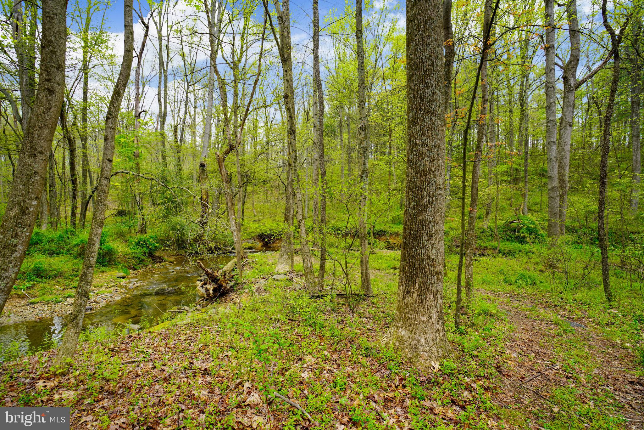 2150 Brown Road Finksburg, MD 21048 - Photo 23 of 81 Camp at the Creek