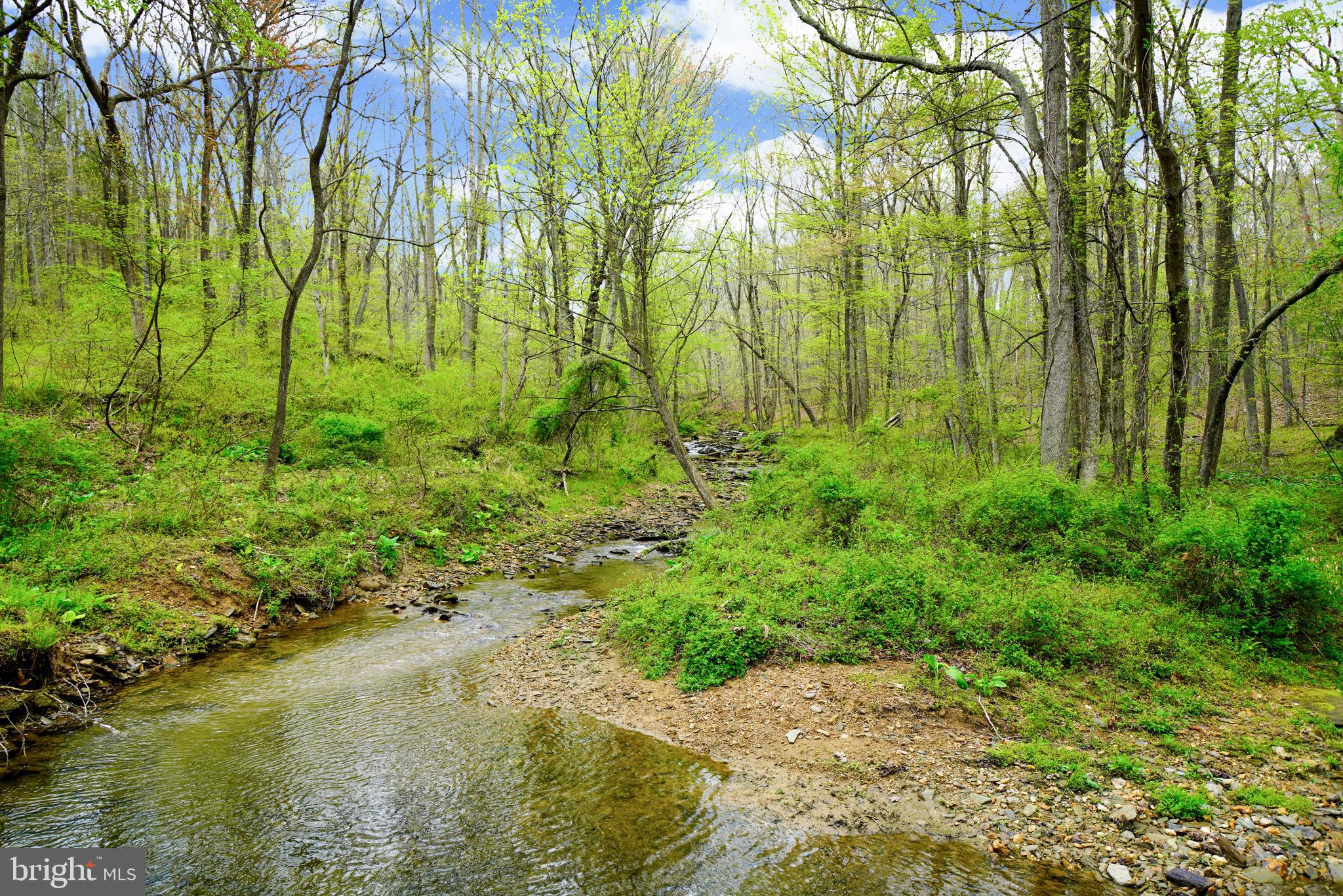 2150 Brown Road Finksburg, MD 21048 - Photo 5 of 81 Roaring Run