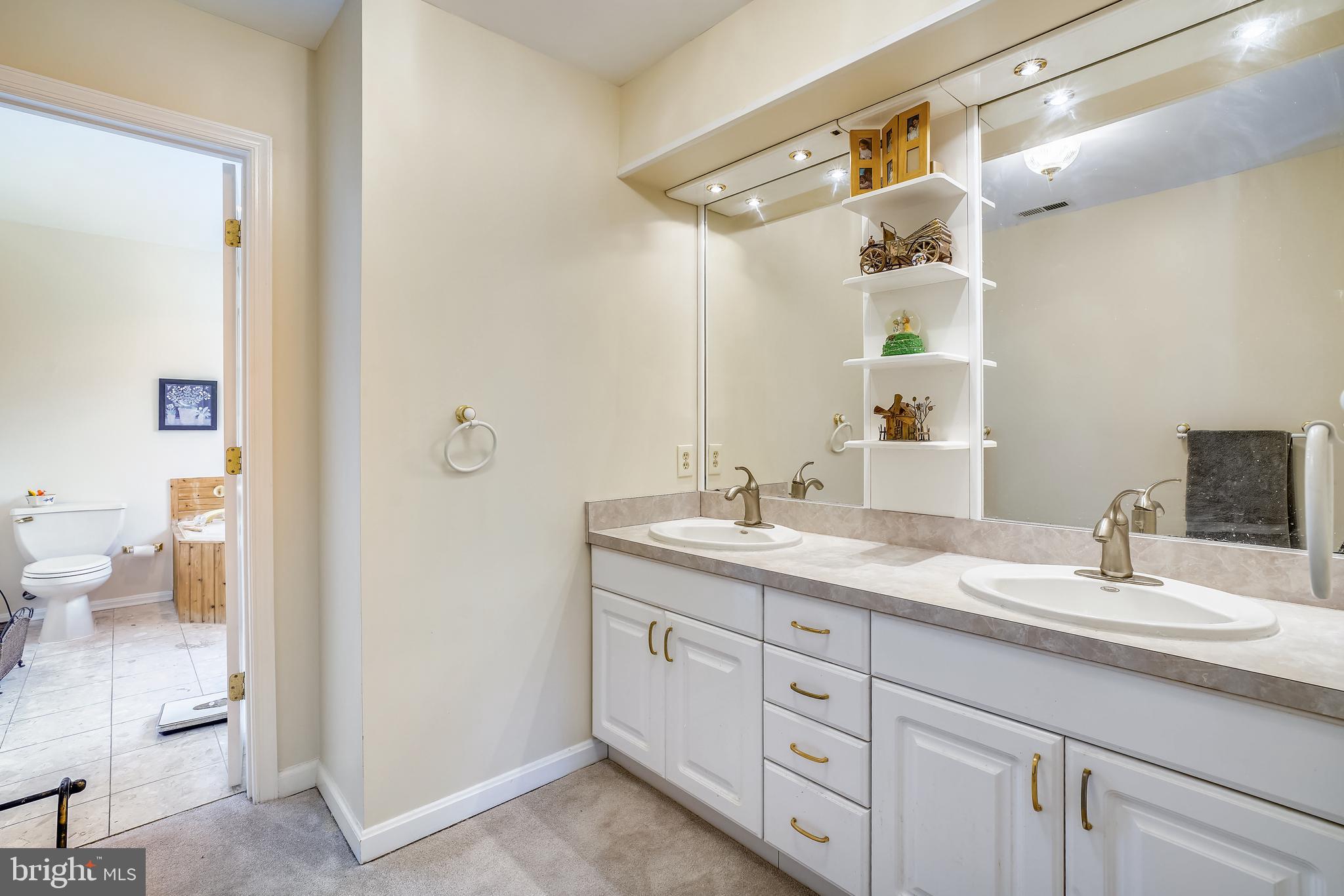 2150 Brown Road Finksburg, MD 21048 - Photo 49 of 81 Vanity Joins Master Bthroom