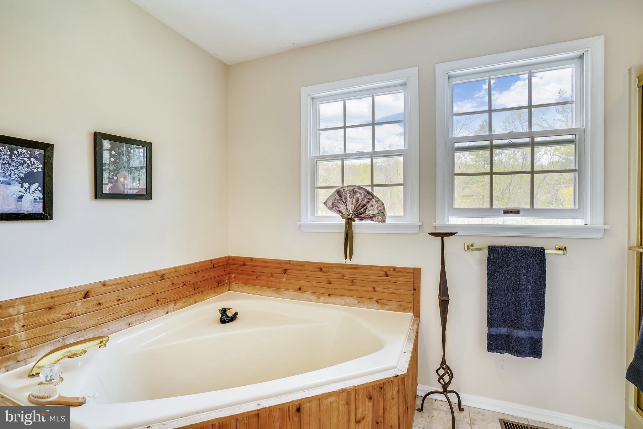 2150 Brown Road Finksburg, MD 21048 - Photo 50 of 81 Soaking Tub