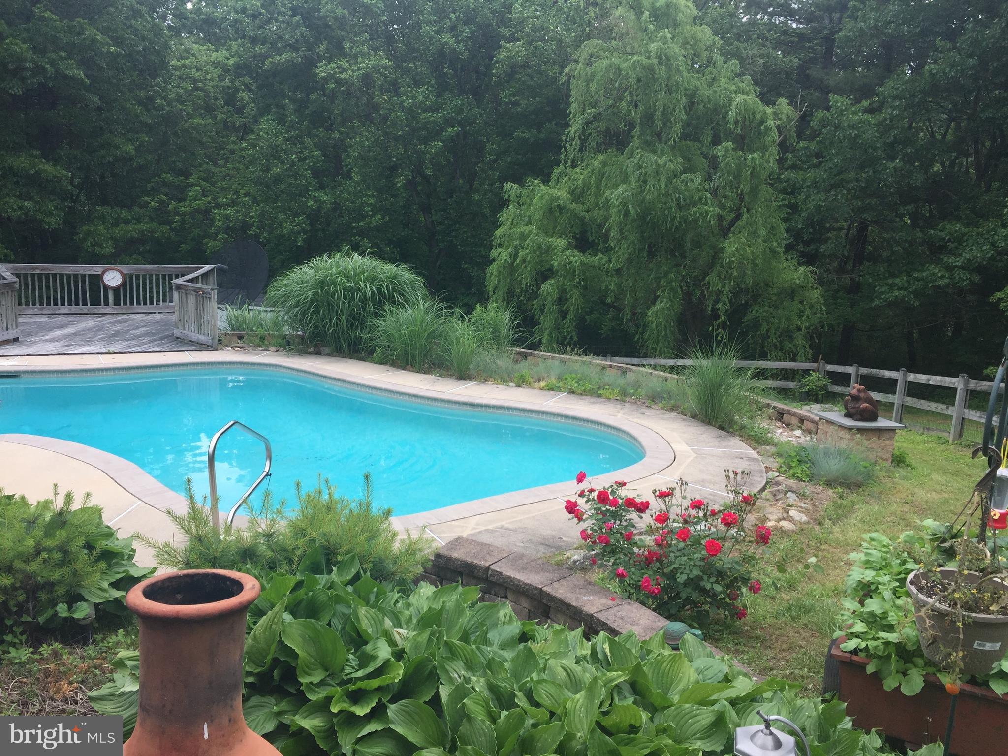 2150 Brown Road Finksburg, MD 21048 - Photo 76 of 81 The Pool in Summer